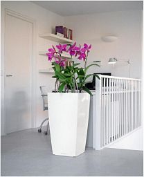 LECHUZA CUBICO Square Tall Poly Resin Self-watering Planter