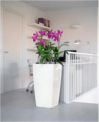 LECHUZA CUBICO Square Tall Poly Resin Self-watering Planter