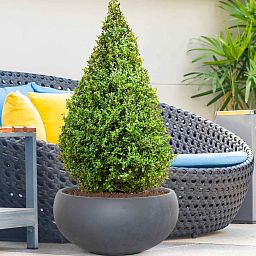 IDEALIST Lite Classic Smooth Bowl Outdoor Planter