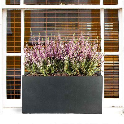 IDEALIST Lite Contemporary Light Concrete Trough Planter Set