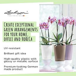 LECHUZA DELTINI|MINI-DELTINI Round Poly Resin Indoor Self-watering Planter