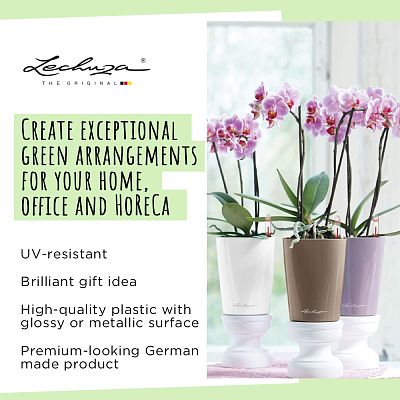 LECHUZA DELTINI|MINI-DELTINI Round Poly Resin Indoor Self-watering Planter