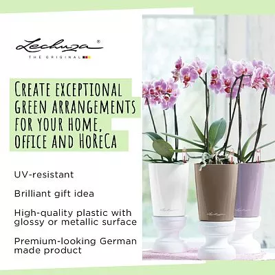 LECHUZA DELTINI|MINI-DELTINI Round Poly Resin Indoor Self-watering Planter