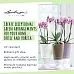 LECHUZA DELTINI|MINI-DELTINI Round Poly Resin Indoor Self-watering Planter