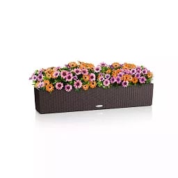 LECHUZA BALCONERA Cottage Trough Poly Resin Self-watering Planter