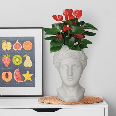 IDEALIST Lite Antique Face Plant Pot Indoor Head Planter