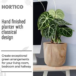 HORTICO CRAFT Wooden House Planter Round Indoor Plant Pot for House Plants with Waterproof Liner