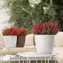 LECHUZA CLASSICO Color Round Poly Resin Self-watering Planter Set