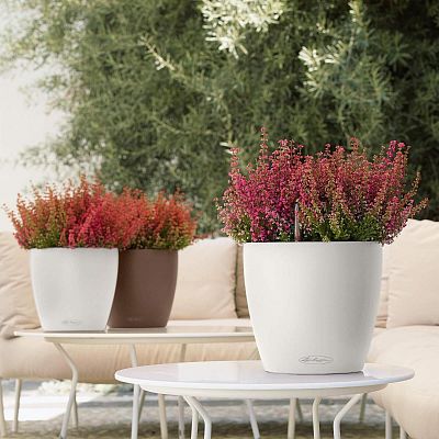 LECHUZA CLASSICO Color Round Poly Resin Self-watering Planter Set
