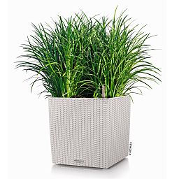 LECHUZA CUBE Cottage Square Poly Resin Self-watering Planter