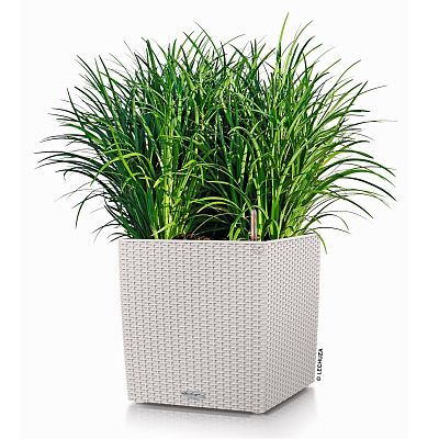 LECHUZA CUBE Cottage Square Poly Resin Self-watering Planter