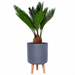 Dotted Style Cylinder Planter on Legs, Round Pot Plant Stand Indoor by Idealist Lite