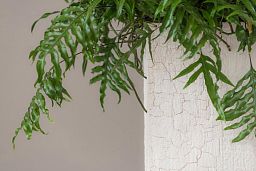 Tall Fiberstone Square Planter by Idealist Premium BOUVY