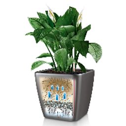 LECHUZA Quadro LS Square Poly Resin Self-watering Planter