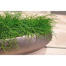 ROYAL Tabletop Round Polystone Planter