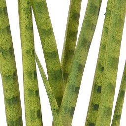 Sansevieria with Brown Pot Artificial Flower Plant
