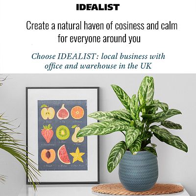 IDEALIST Lite Plaited Style Table and Hanging Plant Pot Dual Use Indoor Egg Planter