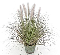 Dogtail with Metal Pot Artificial Grass Plant