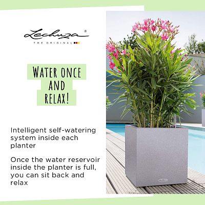 LECHUZA CANTO Stone Low Square Poly Resin Self-watering Planter