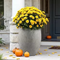 Grigio Tall Balloon Natural-Concrete Planter