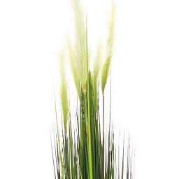 CATTTAIL (TYPHA) Artificial Grass Plant