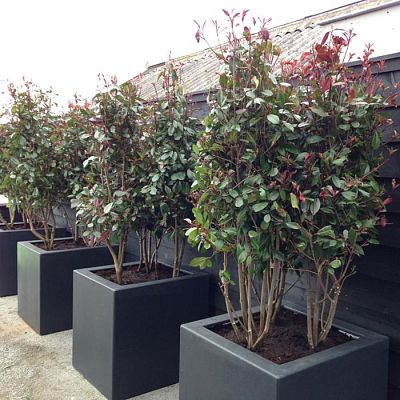 PURE Cube Outdoor Fiberglass Planter