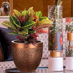 IDEALIST Lite Mesh Style Round Indoor Planter