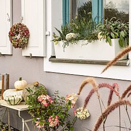 LECHUZA BALCONERA Color Trough Poly Resin Self-watering Planter