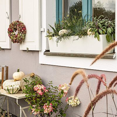 LECHUZA BALCONERA Color Trough Poly Resin Self-watering Planter