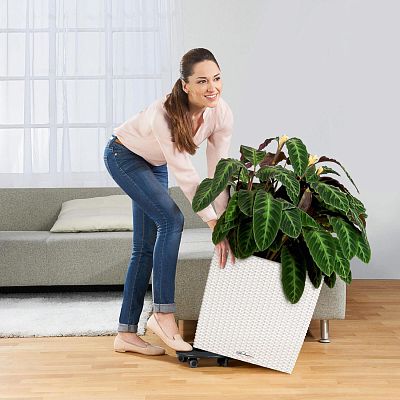 LECHUZA CUBE Cottage Square Poly Resin Self-watering Planter