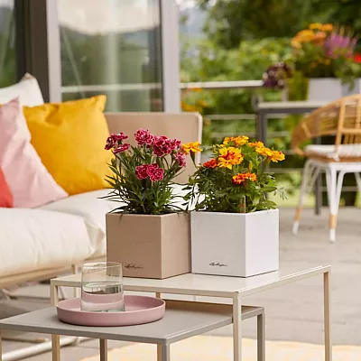 LECHUZA CANTO Stone Square Poly Resin Indoor Self-watering Planter