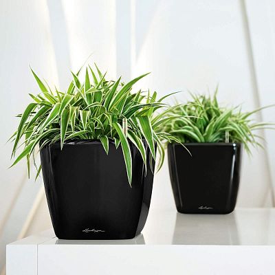 LECHUZA Quadro LS Square Poly Resin Self-watering Planter