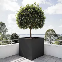 Fibreglass Cube Black Grey Matt Textured Planter H80 L80 W80 cm, 512L