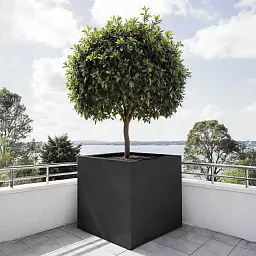 PURE Cube Outdoor Fiberglass Planter