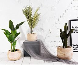 HORTICO ECO Wooden House Planter Round Indoor Plant Pot for House Plants with Waterproof Liner