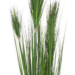 ONION GRASS Artificial Grass Plant