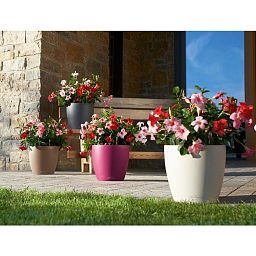 LECHUZA CLASSICO Color Round Poly Resin Self-watering Planter Set