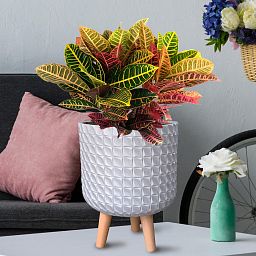 IDEALIST Lite Faceted Effect Planter on Legs
