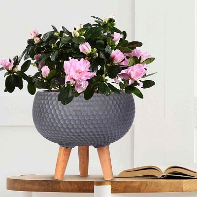IDEALIST Lite Honeycomb Style Bowl Planter on Legs, Round Pot Plant Stand Indoor