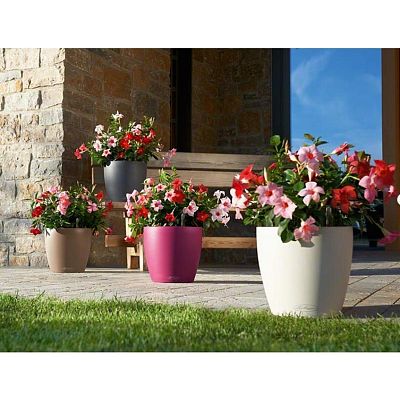 LECHUZA CLASSICO Color Round Poly Resin Self-watering Planter Set