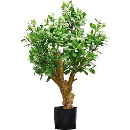 CRASSULA OVATA Artificial Tree Plant