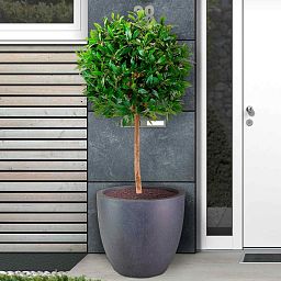 IDEALIST Lite Contemporary Light Concrete Egg Planter
