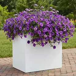 IDEALIST Lite Contemporary Light Concrete Trough Planter