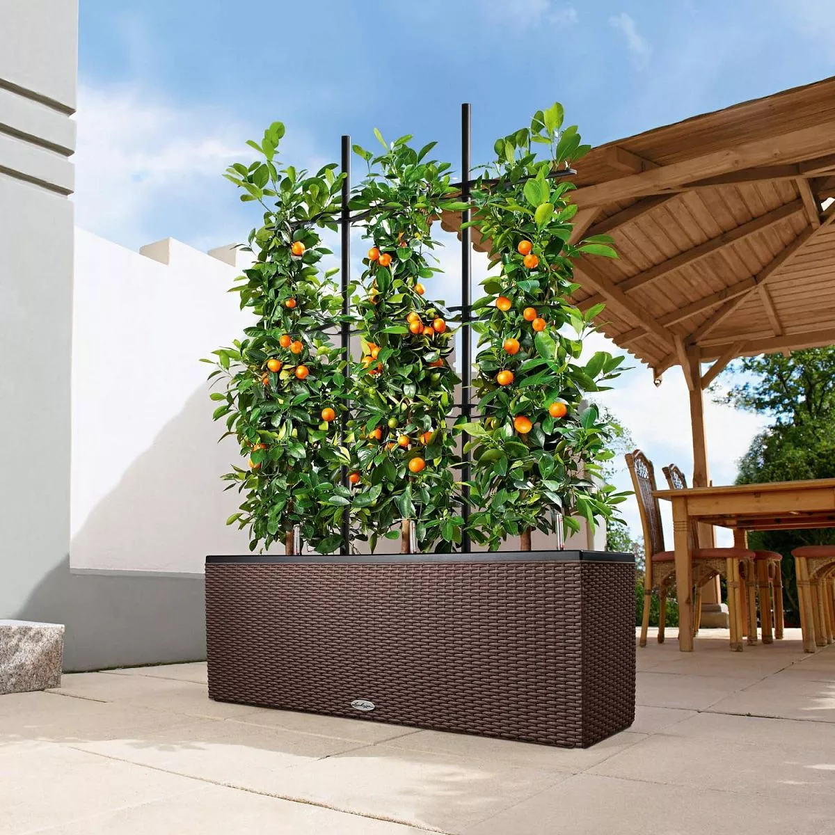 LECHUZA TRIO Cottage Trough Poly Resin Self-watering Planter