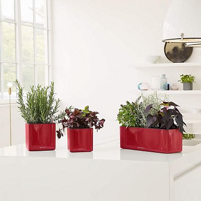 LECHUZA CUBE Glossy Triple Trough Poly Resin Self-watering Planter