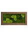 Moss Painting Rock Rectangle