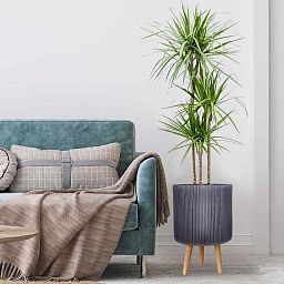 IDEALIST Lite Ribbed Cylinder Planter on Legs, Round Pot Plant Stand Indoor