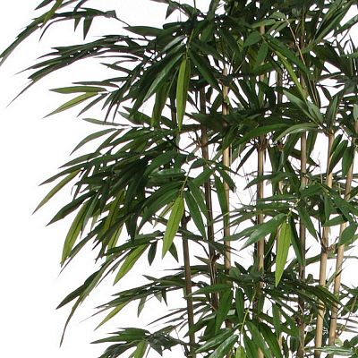 Bamboo Natural Flame Retardant Artificial Tree Plant