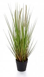 Dogtail with Pot Artificial Grass Plant