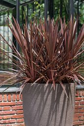 Fibrestone Ben Tall Planter by Idealist Premium